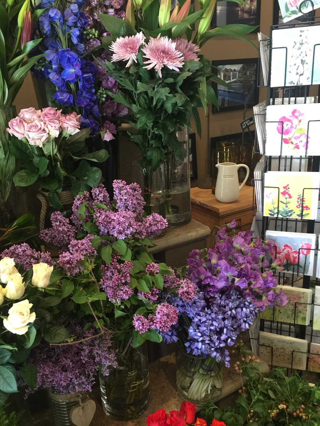 The Lone Hydrangea | 469 Glenferrie Rd, Kooyong VIC 3144, Australia | Phone: (03) 9824 4841