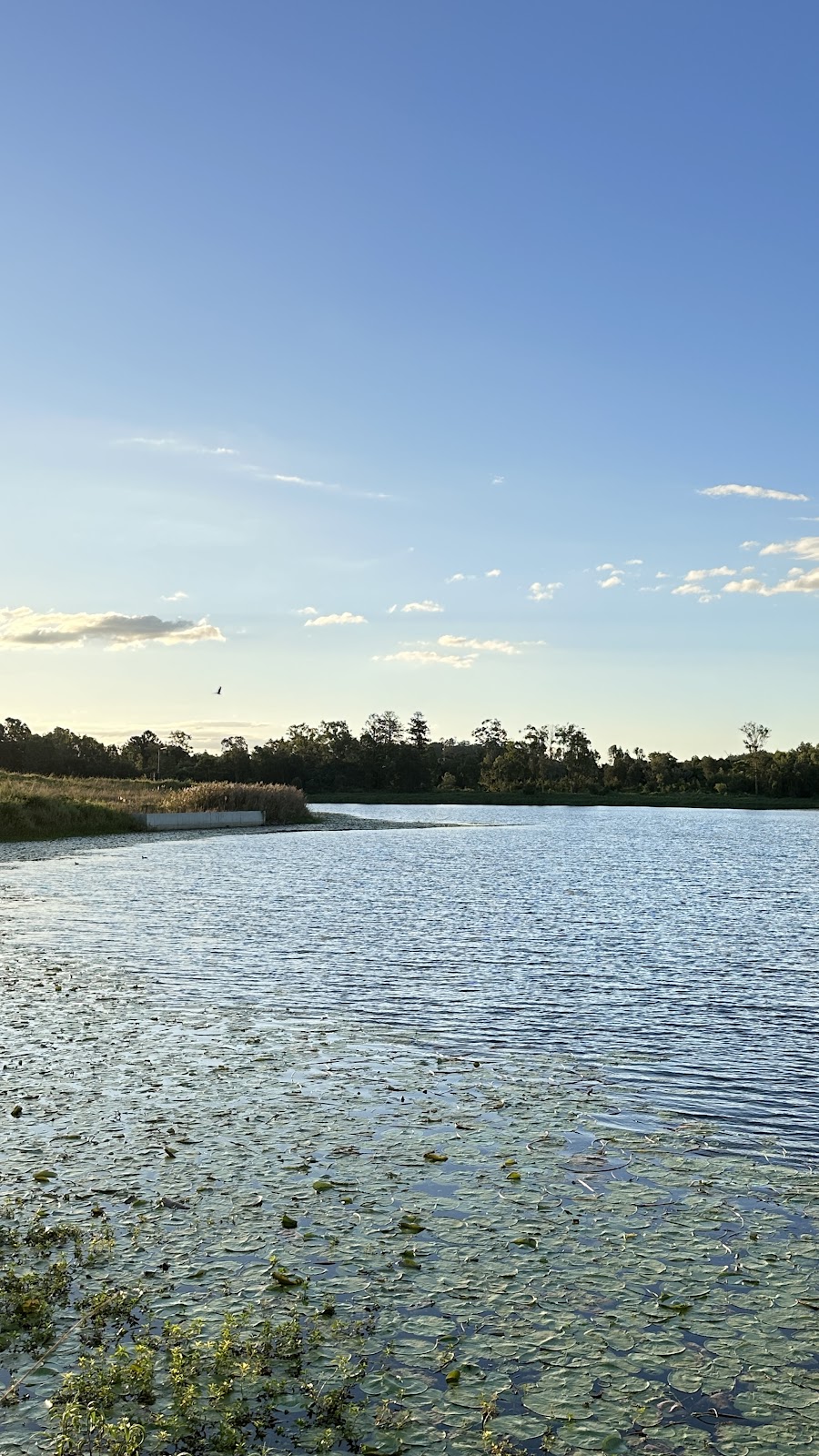 Lawnton Lakes | 34 Donald Mackie St, Lawnton QLD 4501, Australia | Phone: 0488 557 759