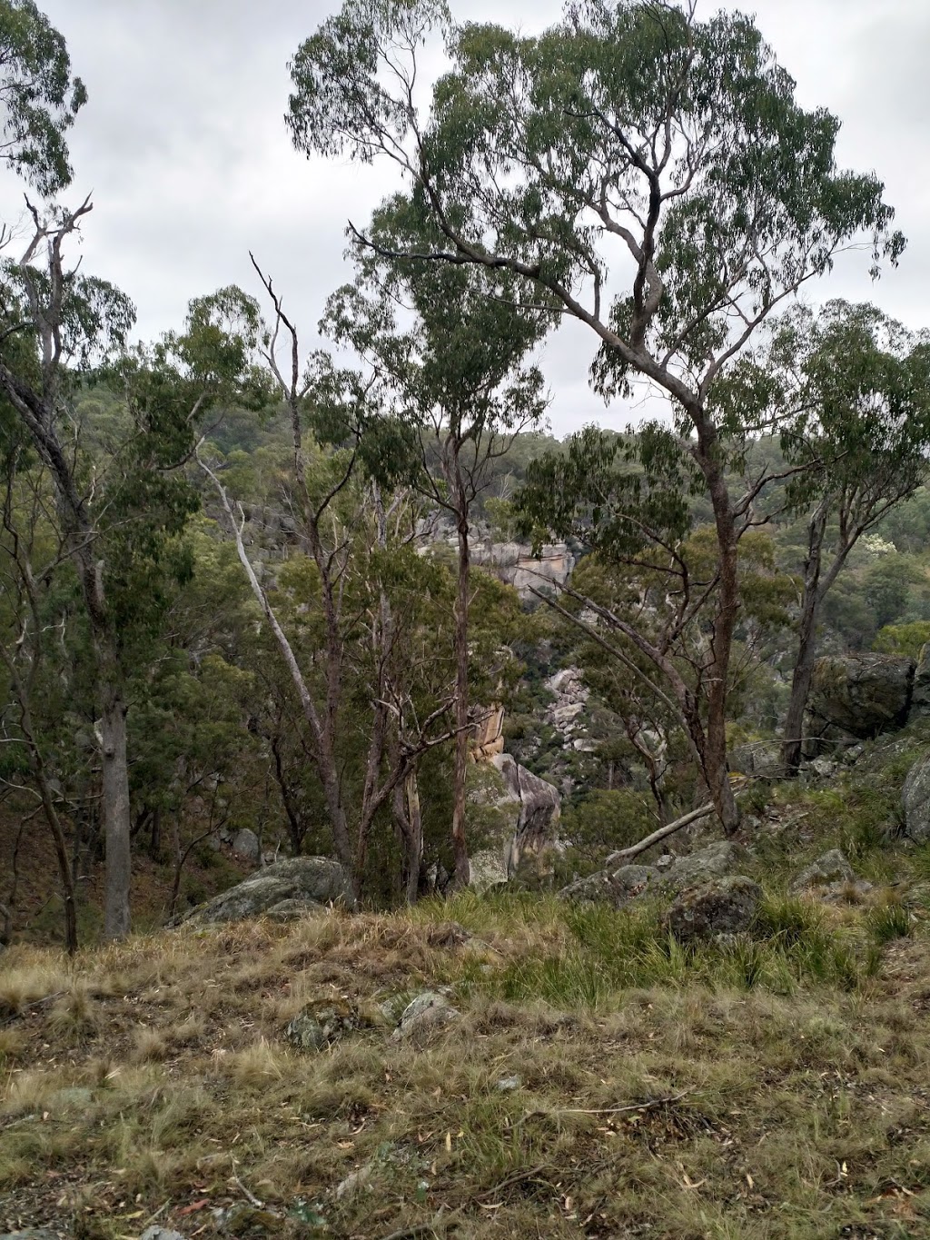 Gara Gorge | Threlfall Rd, Castle Doyle NSW 2350, Australia