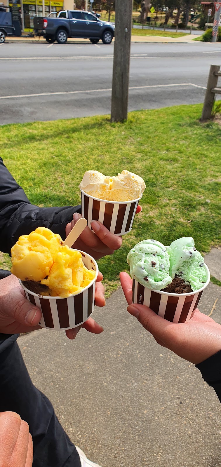 Ice cream Tree | 1 Temple St, Heyfield VIC 3858, Australia | Phone: 0493 426 939