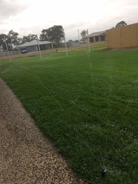 Premium Turf | store | 59 Kirchner Dr, Bundaberg QLD 4670, Australia | 1300350352 OR +61 1300 350 352