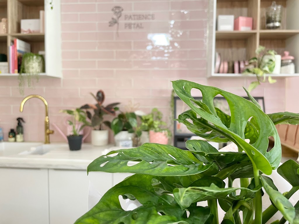 Patience Petal | 88 Bell St, Penshurst VIC 3289, Australia | Phone: (03) 5576 7279