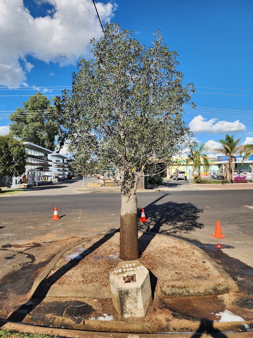 Ace of Spades Tree Relocators | 811 Toowoomba Connection Rd, Withcott QLD 4350, Australia | Phone: 0438 383 213