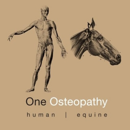 One Osteopathy - Human & Equine | 4838 Old Northern Rd, Maroota NSW 2756, Australia | Phone: 0408 359 956