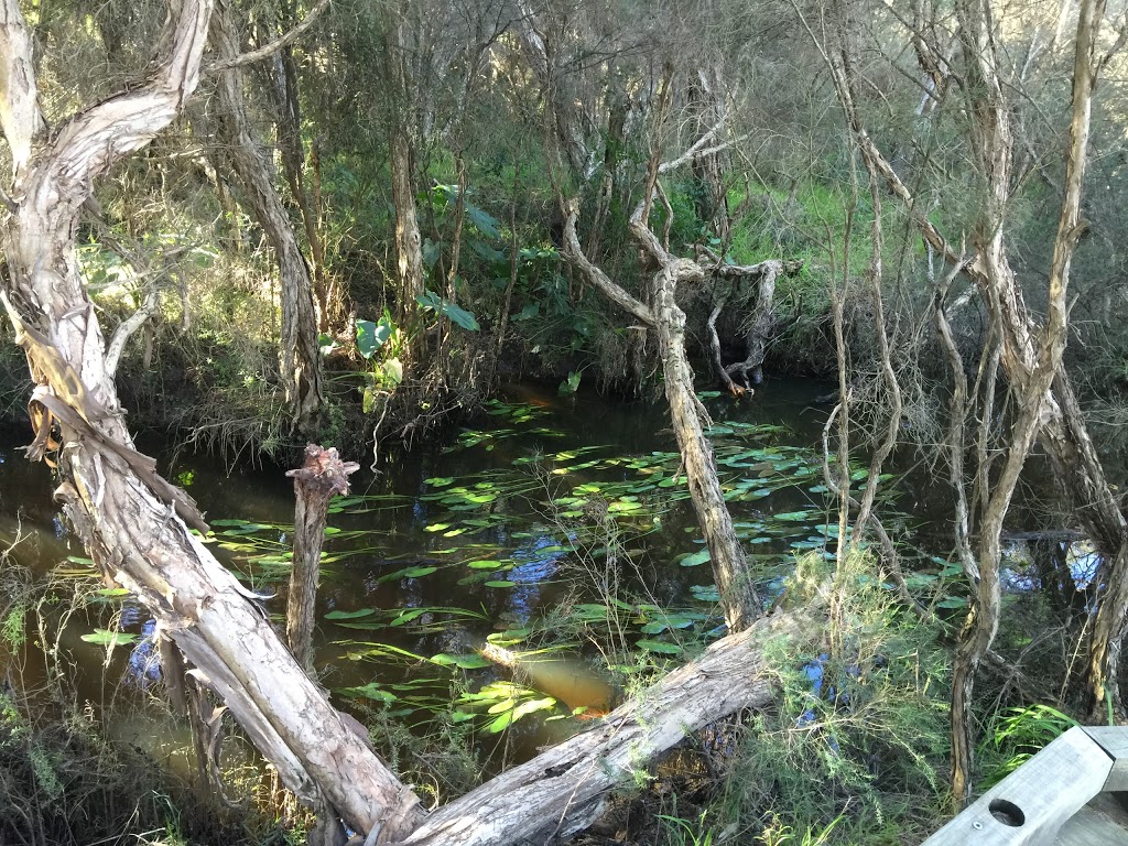 Balcombe Creek Bushland Reserve | park | Mount Martha VIC 3934, Australia