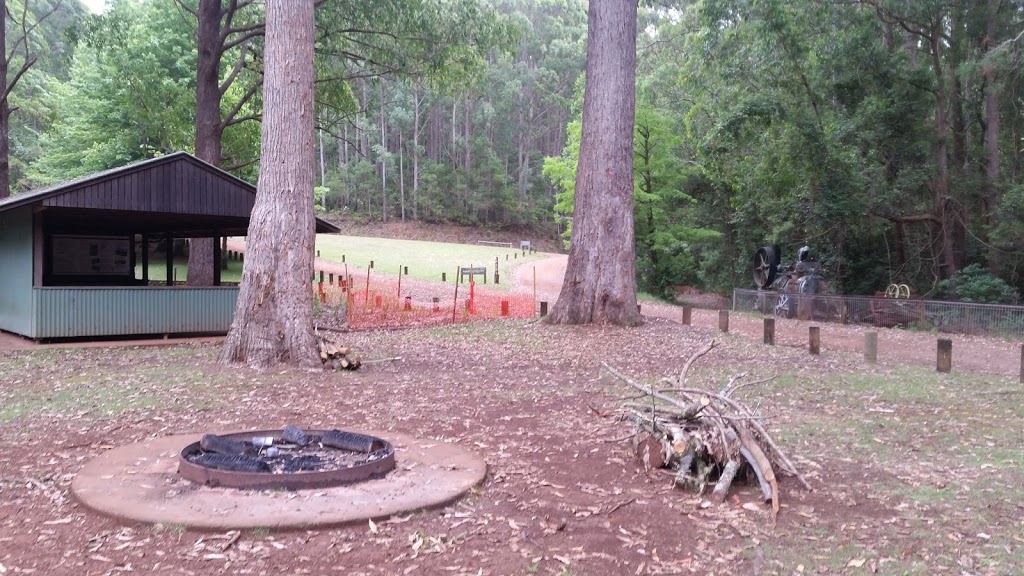 Dingo Tops campground | Dingo Tops S, Dingo Forest NSW 2429, Australia | Phone: (02) 6552 4097