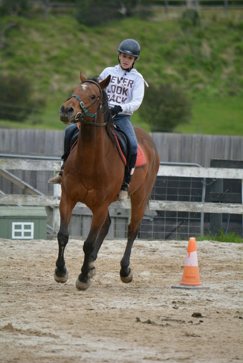 Tandivale Equestrian Centre & Pony Club | 88 Johansons Rd, Warrandyte VIC 3113, Australia | Phone: 0488 244 420