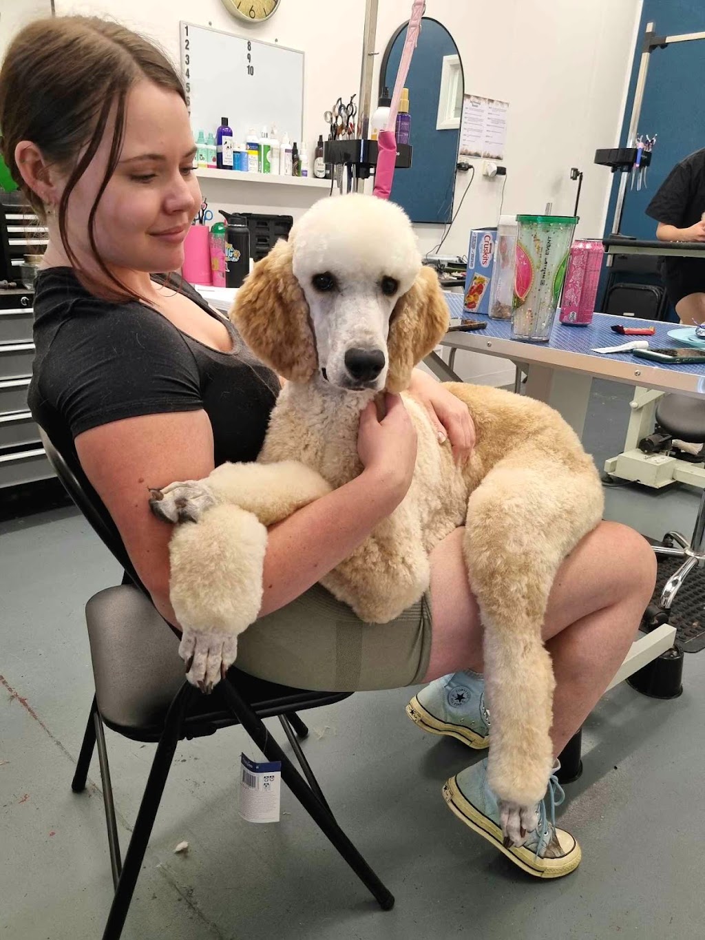 Bark & Bloom Grooming | 2 Keith Mitchell Dr, Warwick QLD 4370, Australia | Phone: 0427 786 774