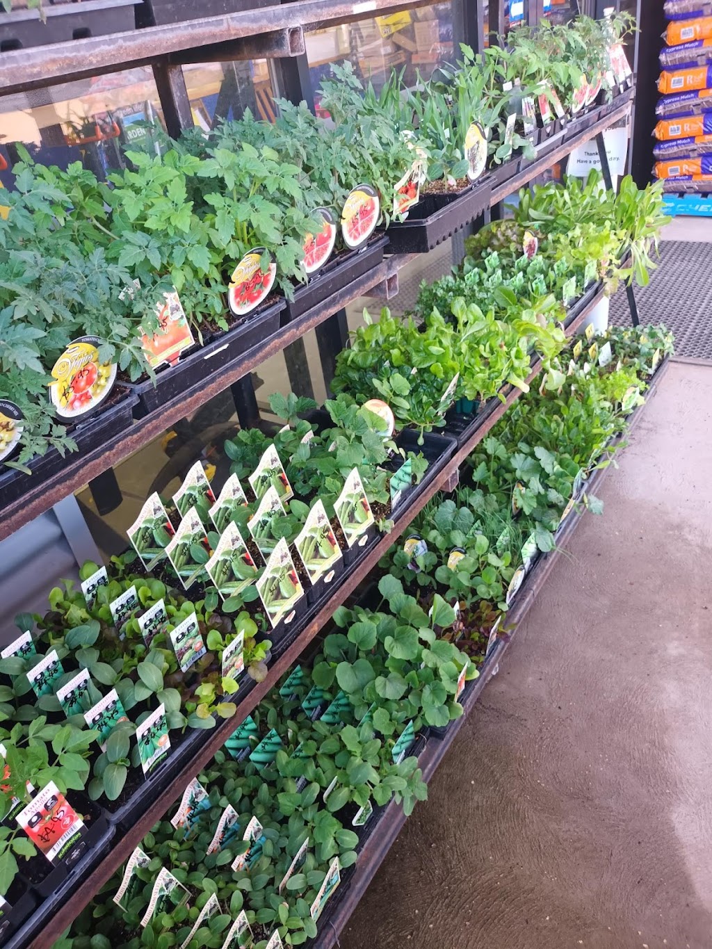 Eaton’s Mitre 10 Singleton | 1 Kelso St, Singleton NSW 2330, Australia | Phone: (02) 6572 5600