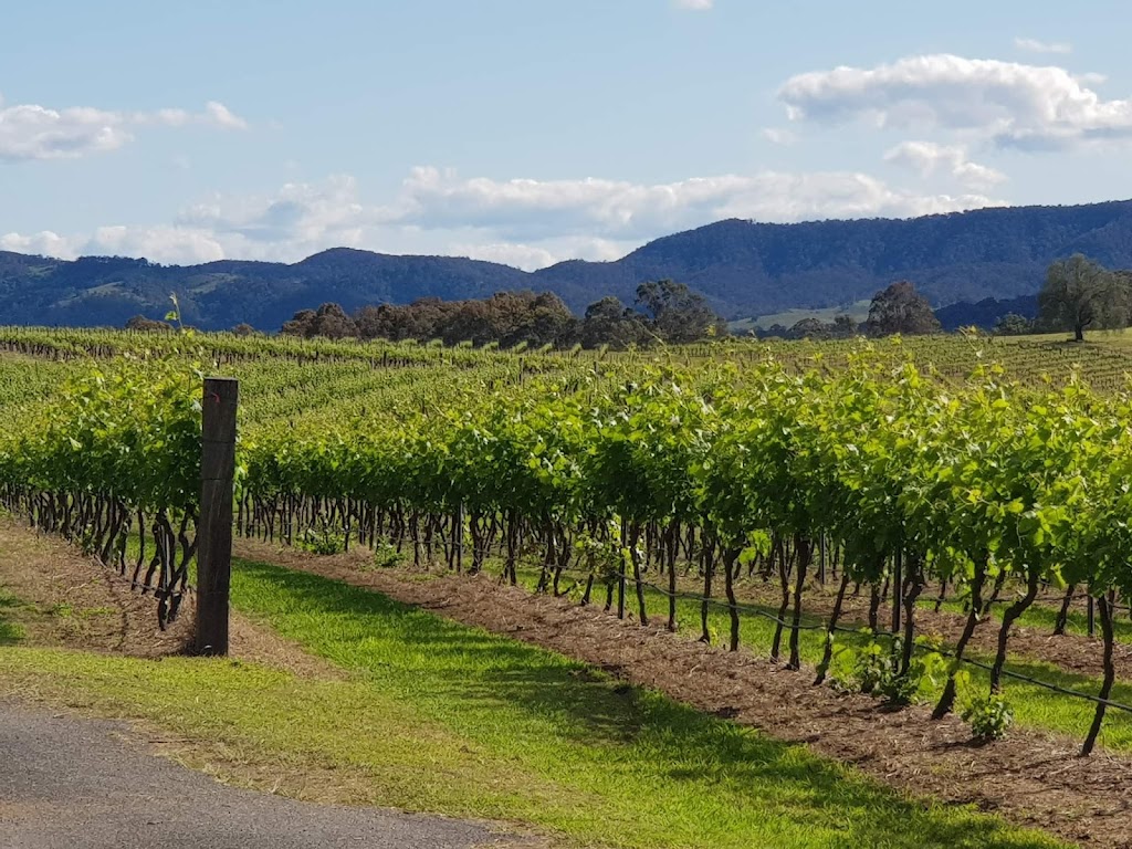 Hunter Valley Private Wine Tours & Transfers | 4 Wollombi Rd, Cessnock NSW 2325, Australia | Phone: 0422 904 811