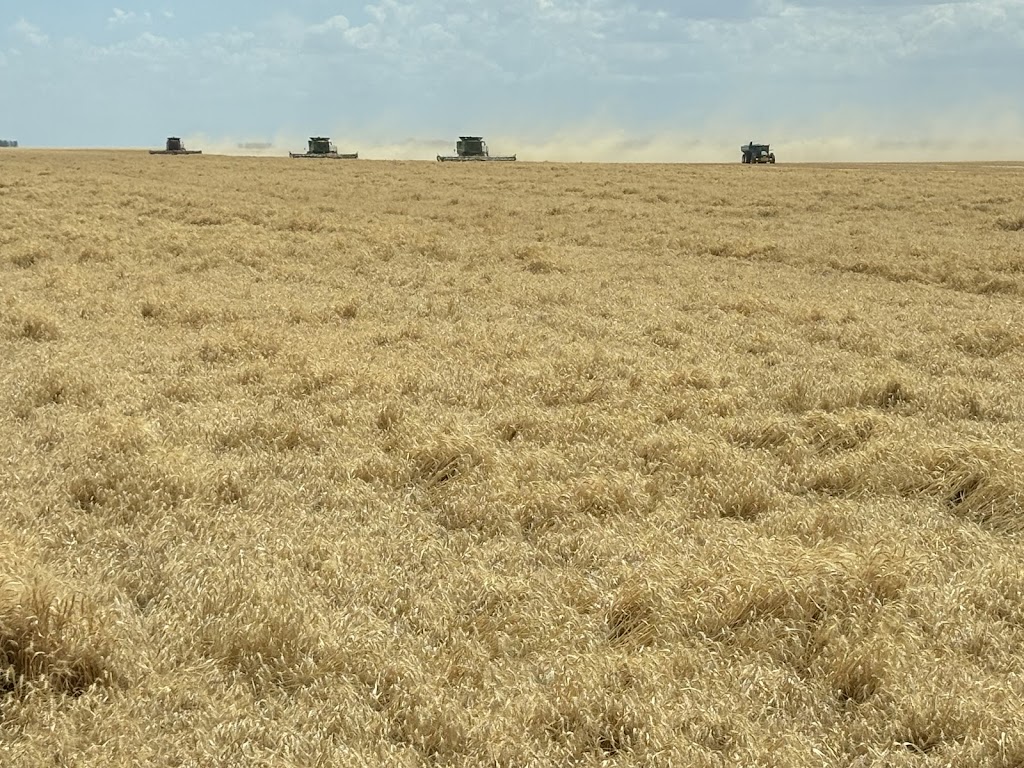 Riverina Sustainable Fertilisers | 1578 Cadell Rd, Gala Vale NSW 2716, Australia | Phone: 0428 133 027