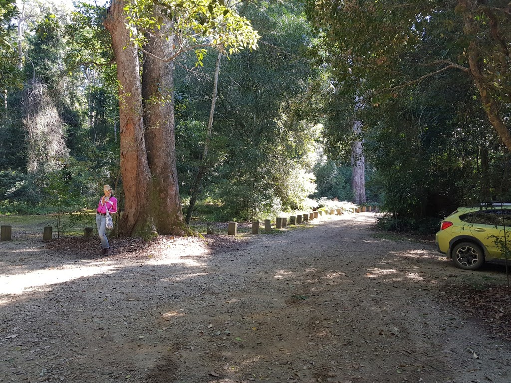 Cedar Park Picnic Area | park | Cedar Park Walking Track, Allgomera NSW 2441, Australia