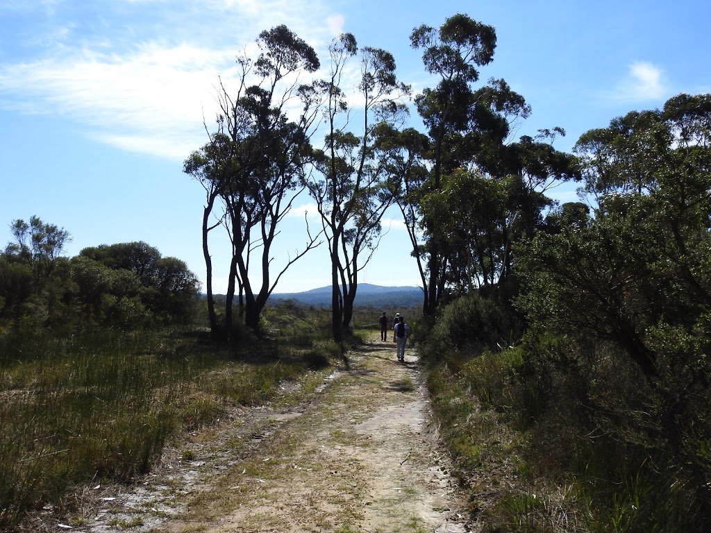 Barren Grounds Picnic Area | park | Barren Grounds NSW 2577, Australia | 0248877270 OR +61 2 4887 7270