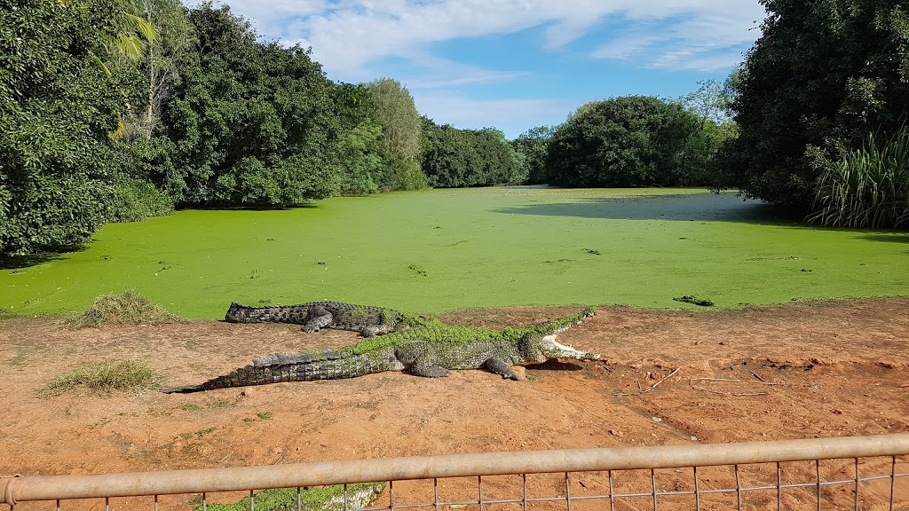 Malcolm Douglas Crocodile Park | Broome Rd, Roebuck WA 6725, Australia | Phone: (08) 9193 6580