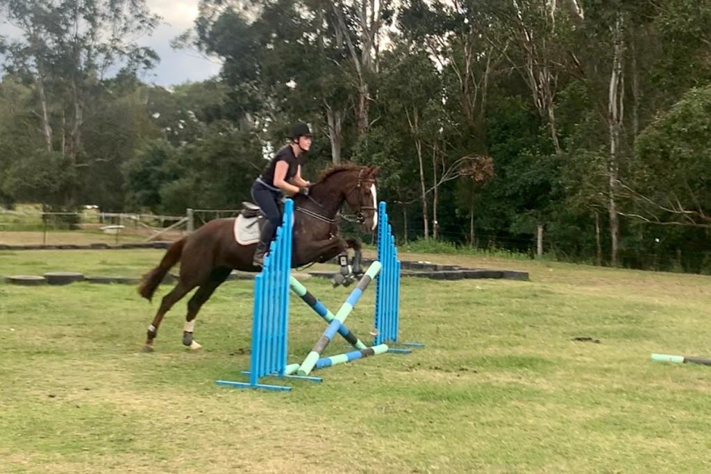 Sheany Park Performance Horse Centre |  | 247 Cut Hill Rd, Cobbitty NSW 2570, Australia | 0405682484 OR +61 405 682 484