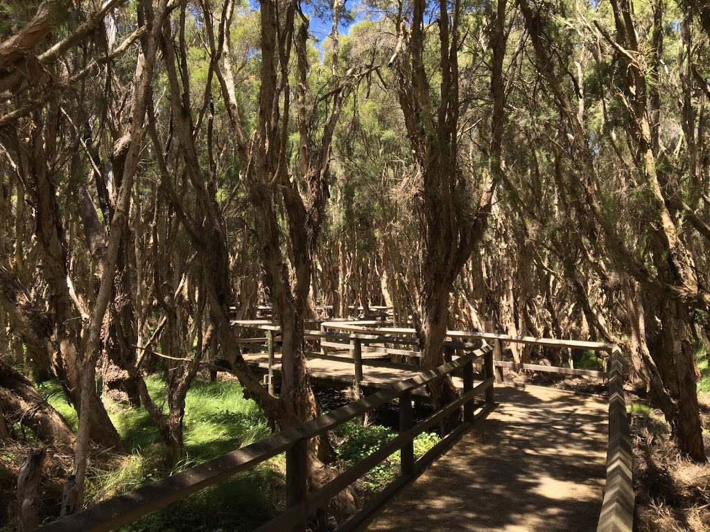 Big Swamp Bird Watching Platform | park | Big Swamp Reserve, South Bunbury WA 6230, Australia