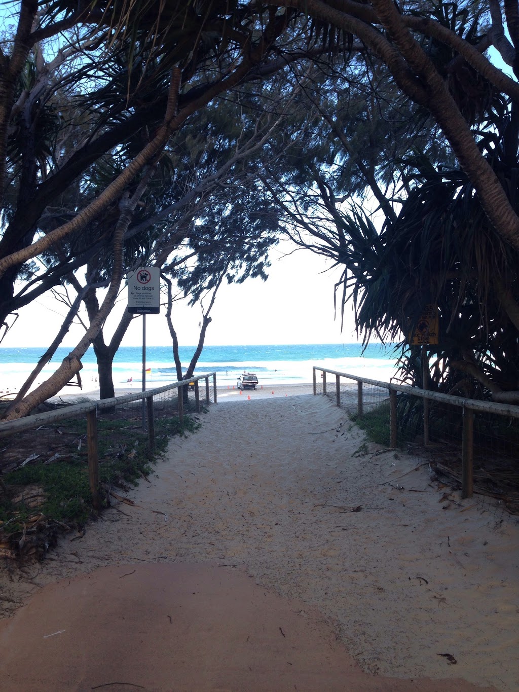 Tariks Shed | lodging | Surfers Paradise QLD 4217, Australia
