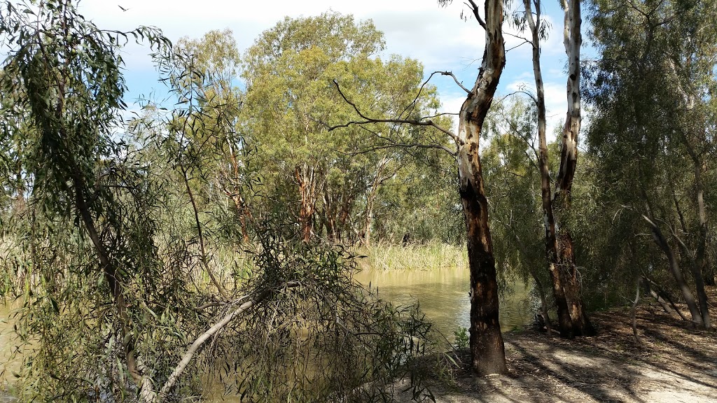 Reedy Lake bird rookery | 132 Pratt Rd, Reedy Lake VIC 3579, Australia