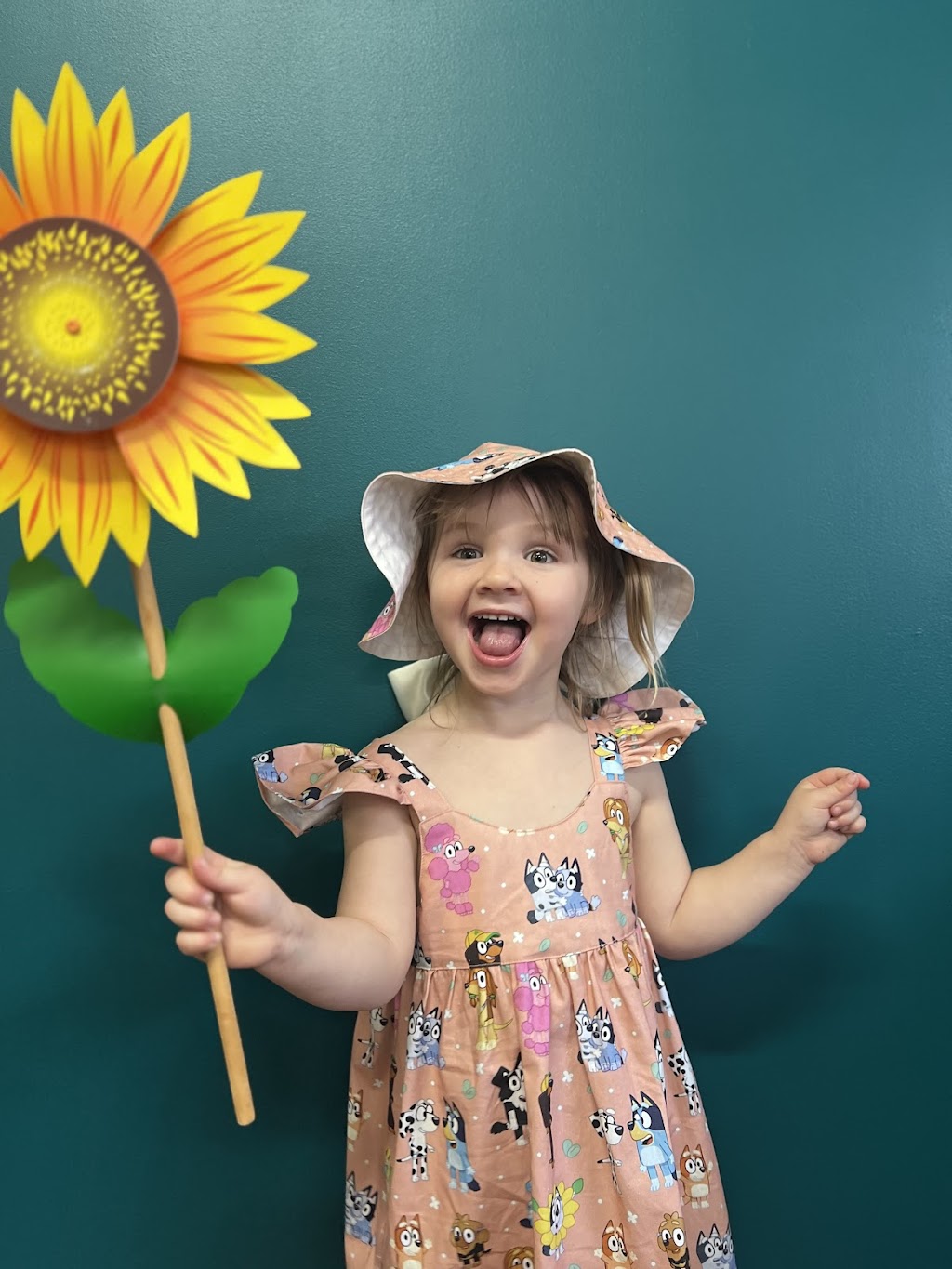 Sawdust & Chalk | 1 Bate St, Central Tilba NSW 2546, Australia | Phone: 0428 642 653