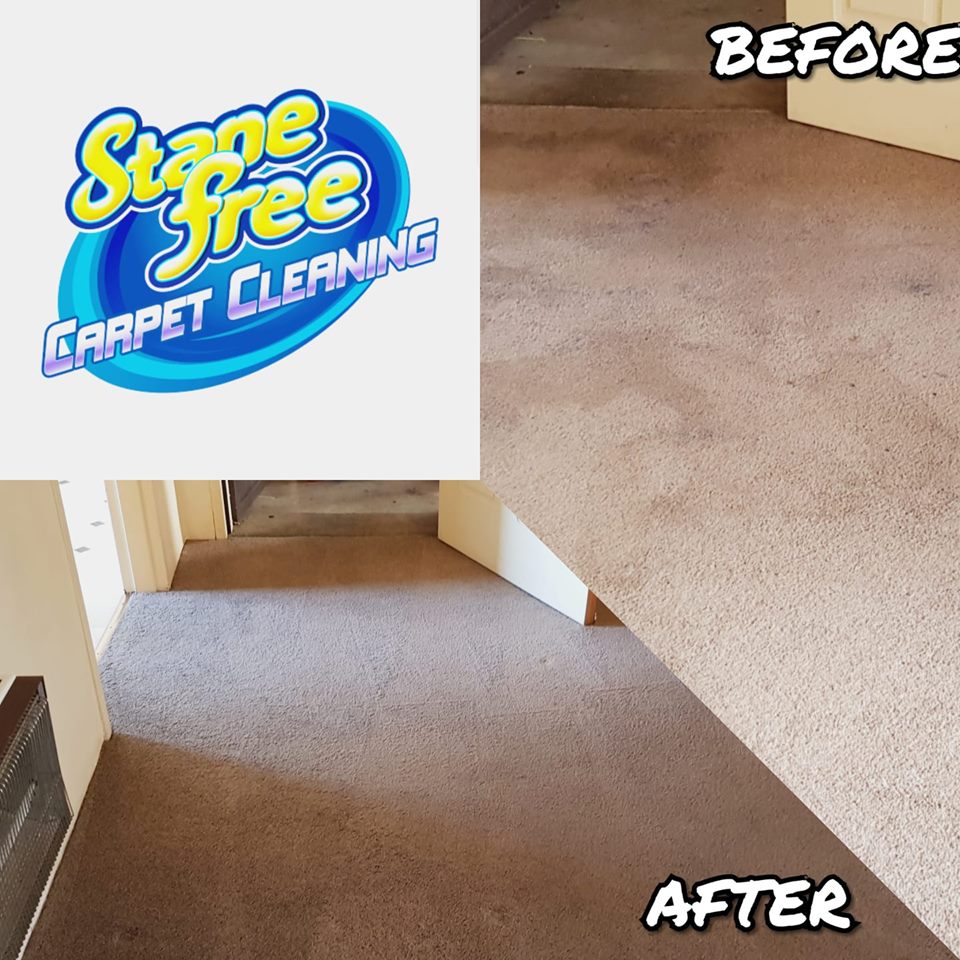 Stanefree Solutions - More Than Just Cleaning | 36 Boronia Ave, Cranbourne VIC 3977, Australia | Phone: 0467 879 381