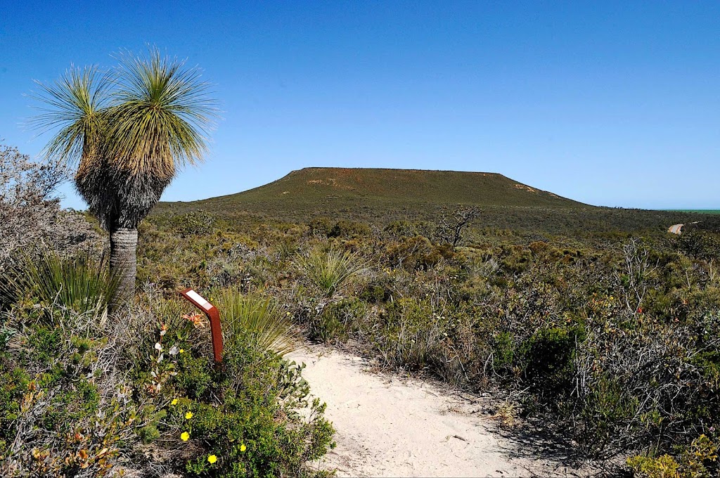 Jurien Bay Adventure Tours | Bashford St, Jurien Bay WA 6516, Australia | Phone: 1300 462 383