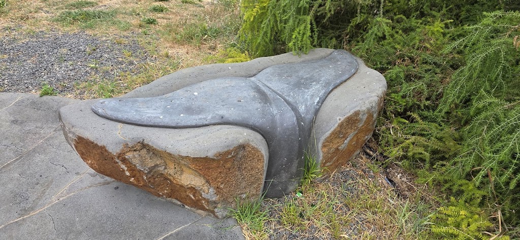 Whale Sun Shadow | Narrawong VIC 3285, Australia | Phone: (08) 8797 8596