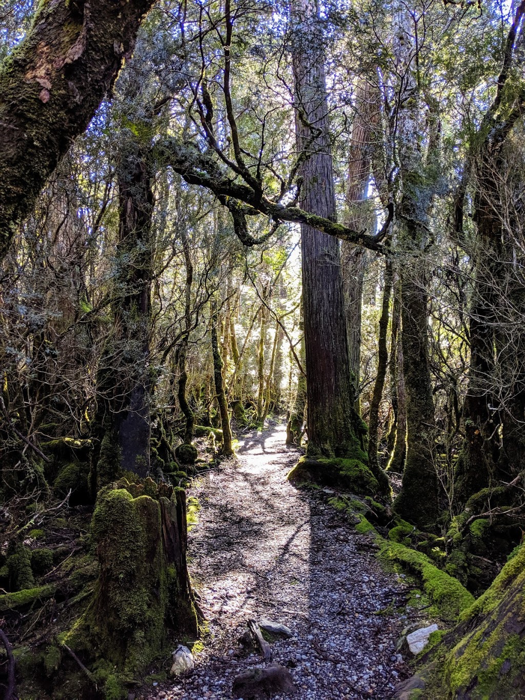 Weindorfers Forest Walk, Cradle Mountain | museum | Weindorfers Forest Walk, Cradle Mountain TAS 7306, Australia