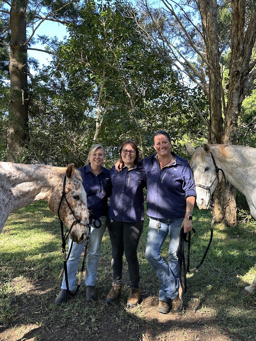 MAJ Counselling and Equine Assisted Therapy | 611 Tallebudgera Creek Rd, Tallebudgera Valley QLD 4228, Australia | Phone: 0409 363 538