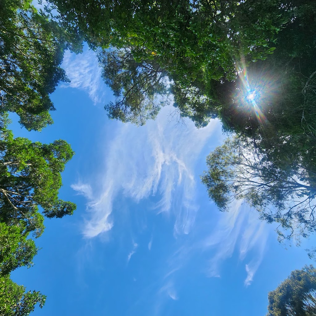 Kokoda Park | Gordon Park QLD 4031, Australia | Phone: (07) 3403 8888