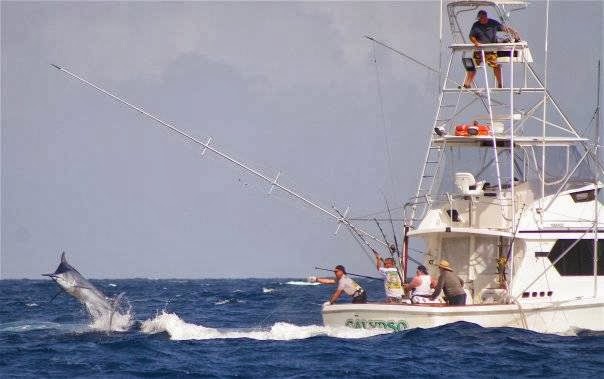 Calypso Fishing Adventures | 212 Soldiers Point Rd, Salamander Bay NSW 2317, Australia | Phone: 0411 111 476