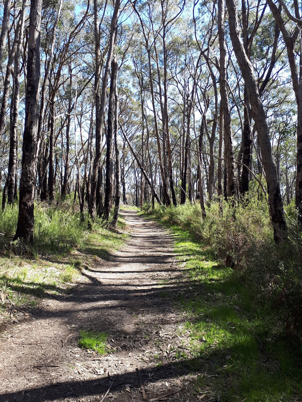 Mount George Conservation Park | park | Heysen Trail, Mount George SA 5155, Australia