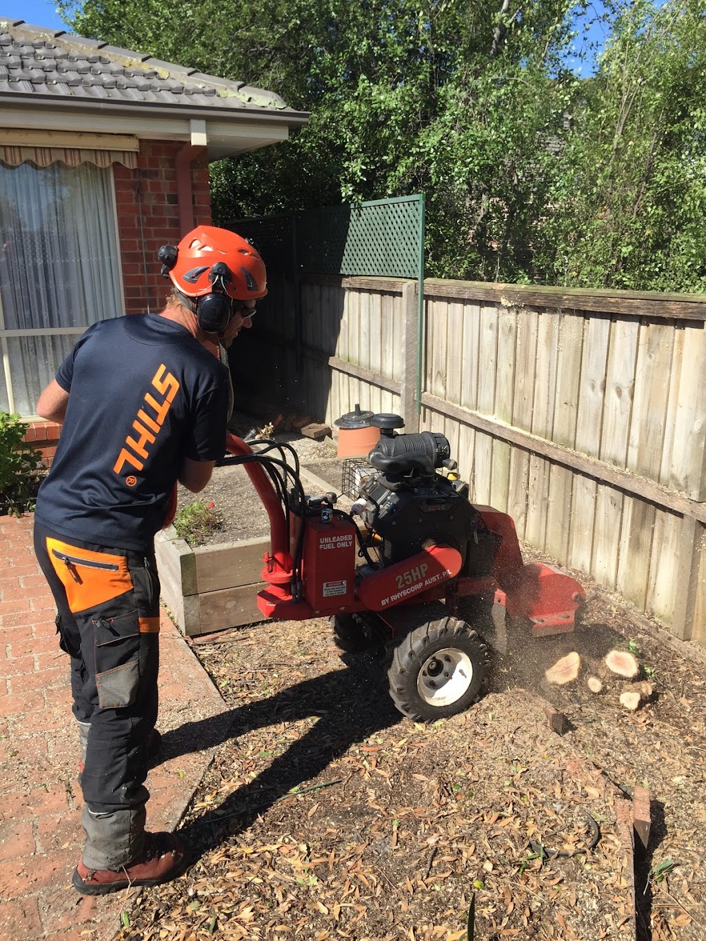 Grandview Tree Care | 2b Pinehill Dr, Pakenham VIC 3810, Australia | Phone: 1800 560 875