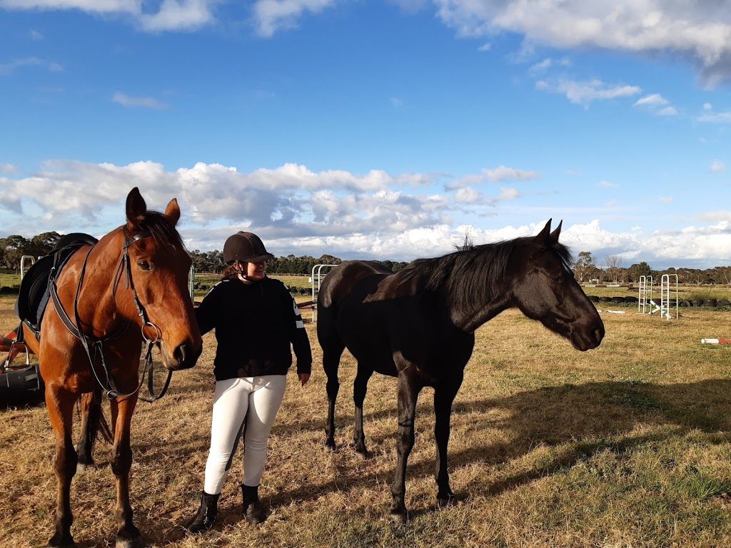 Geelong Equine Assisted Learning | 221 Lings Rd, Wallington VIC 3222, Australia | Phone: 0432 977 814