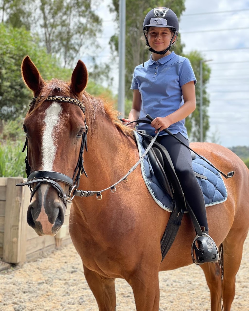 Valley Park Riding School | 86 Obriens Ln, Templestowe VIC 3106, Australia | Phone: 0475 000 088