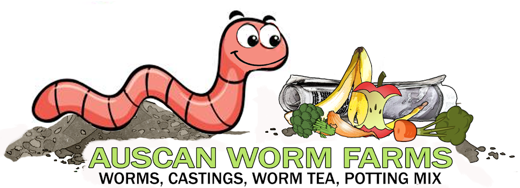 Auscan Worm Farms | park | 22 Cambridge Ave, Andergrove QLD 4740, Australia | 0456358139 OR +61 456 358 139