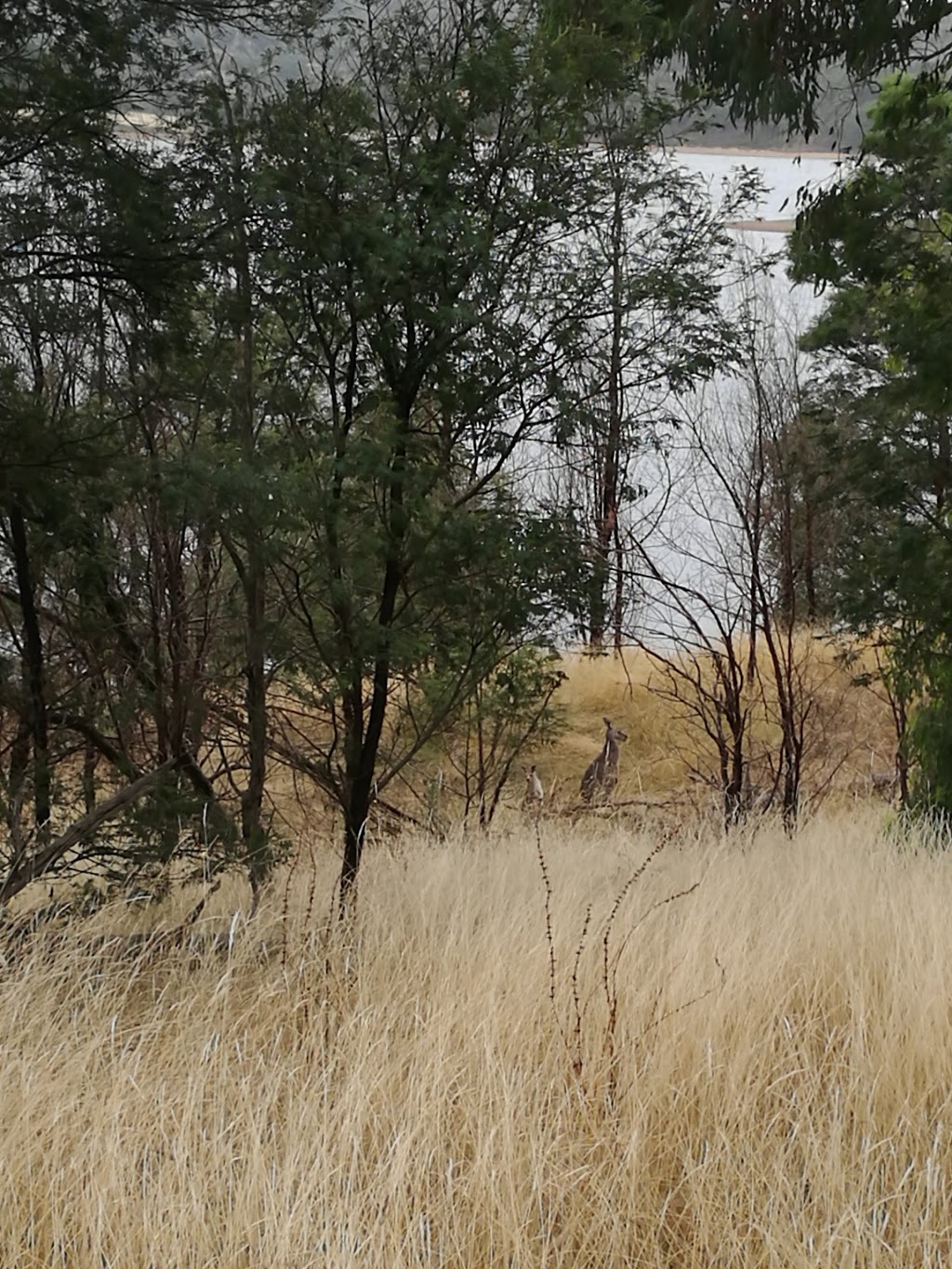 Sugarloaf Reservoir Park | park | Christmas Hills VIC 3775, Australia