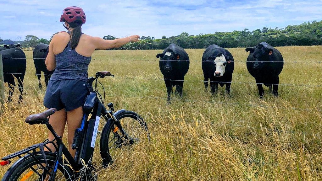 Great Southern Ride | bicycle store | 91 Whitelaw St, Meeniyan VIC 3956, Australia | 0468477043 OR +61 468 477 043