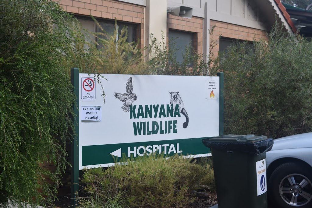 Kanyana Wildlife Rehabilitation Centre | 120 Gilchrist Rd, Lesmurdie WA 6076, Australia | Phone: (08) 9291 3900