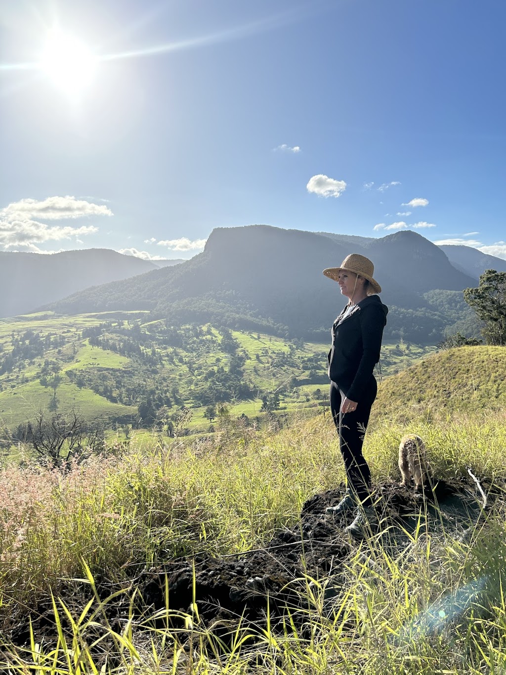 Lamington Eco -Rainforest Retreat | 3275 Christmas Creek Rd, Lamington QLD 4285, Australia | Phone: 0418 878 874