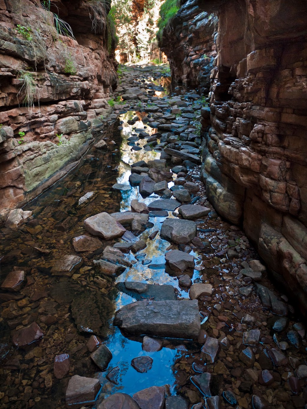 Alligator Gorge | Wilmington SA 5485, Australia