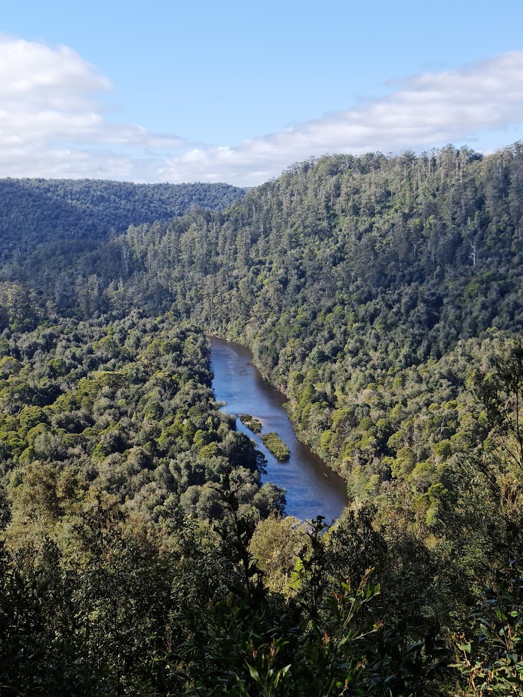 Kanunnah Bridge | tourist attraction | Sumac Rd, West Coast TAS 7330, Australia | 0364643014 OR +61 3 6464 3014