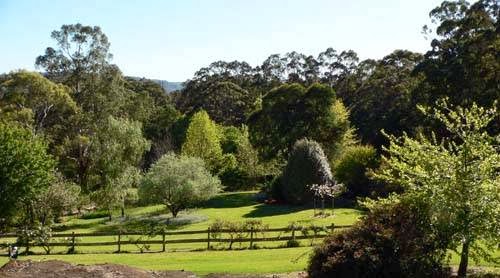 Wombat Hill Bed and Breakfast | 1010 Kangaroo Valley Rd, Bellawongarah NSW 2535, Australia | Phone: (02) 4464 1924