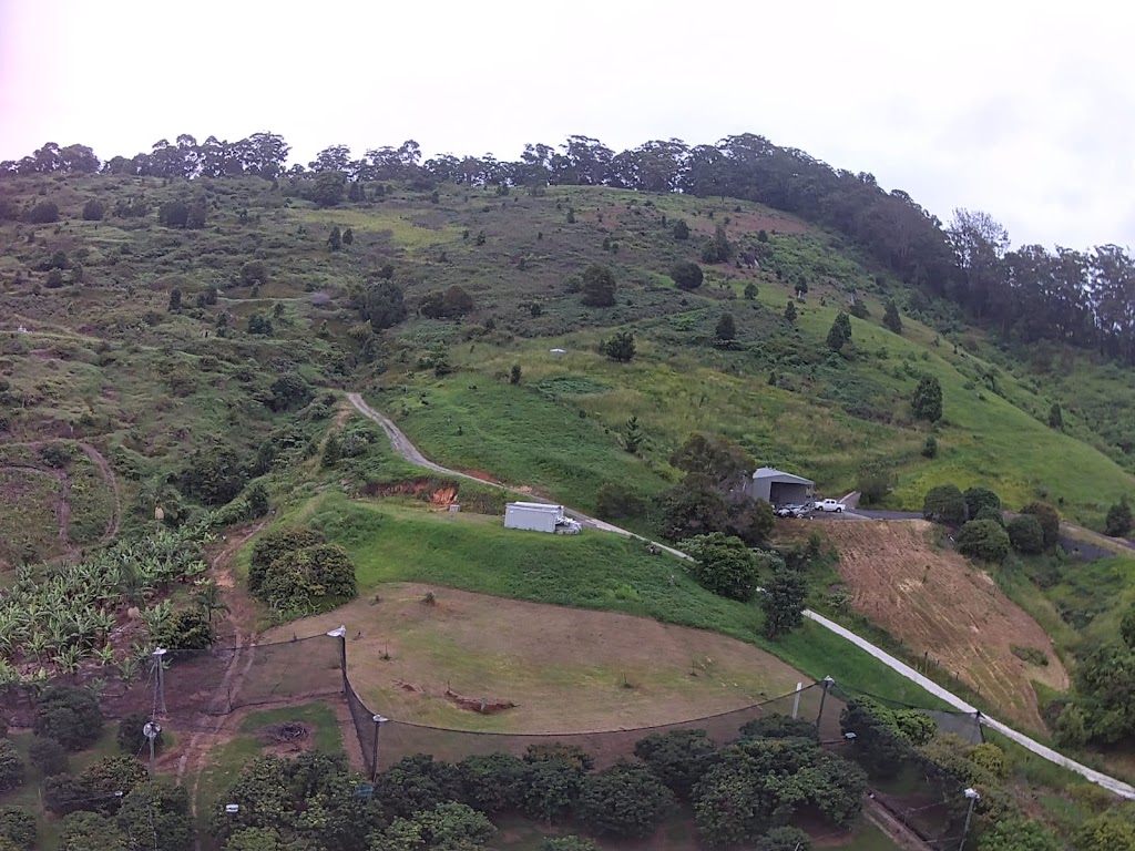 Lychee Farm | 169 S Boambee Rd, Boambee NSW 2450, Australia | Phone: (02) 6653 1931