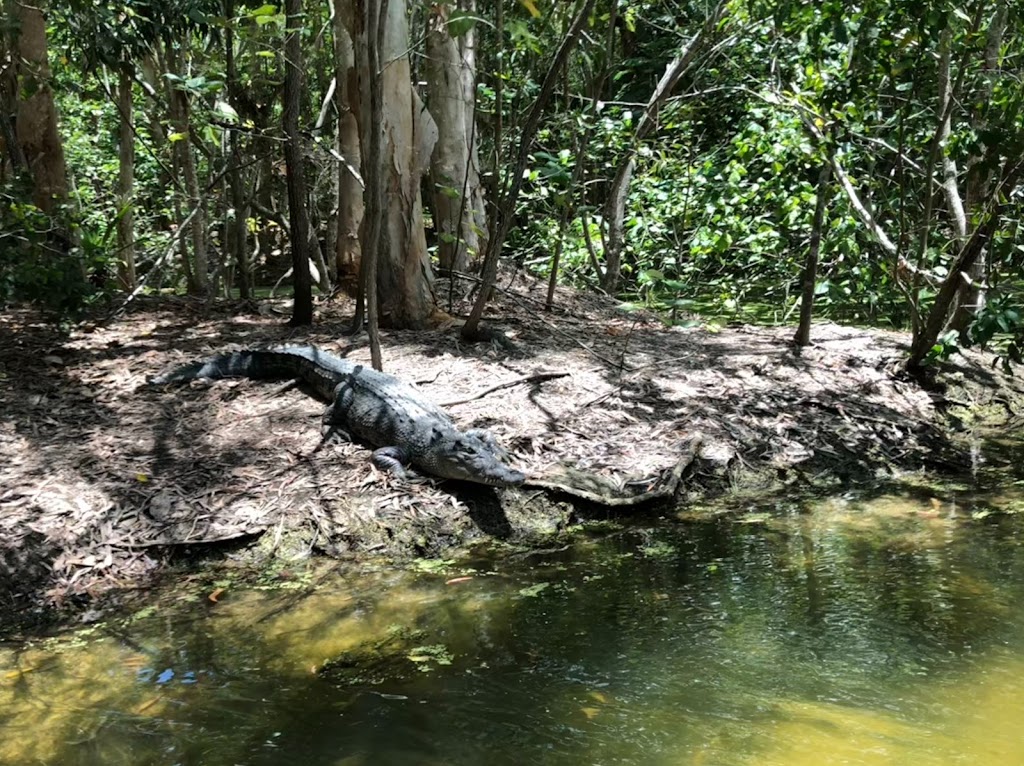 Hartleys Crocodile Adventures | Captain Cook Hwy, Wangetti QLD 4871, Australia | Phone: (07) 4055 3576
