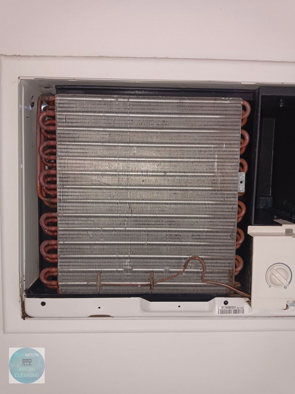 Bluemoon Aircon Cleaning Services | 6 Lakewood Pl, Zilzie QLD 4710, Australia | Phone: 0492 254 104