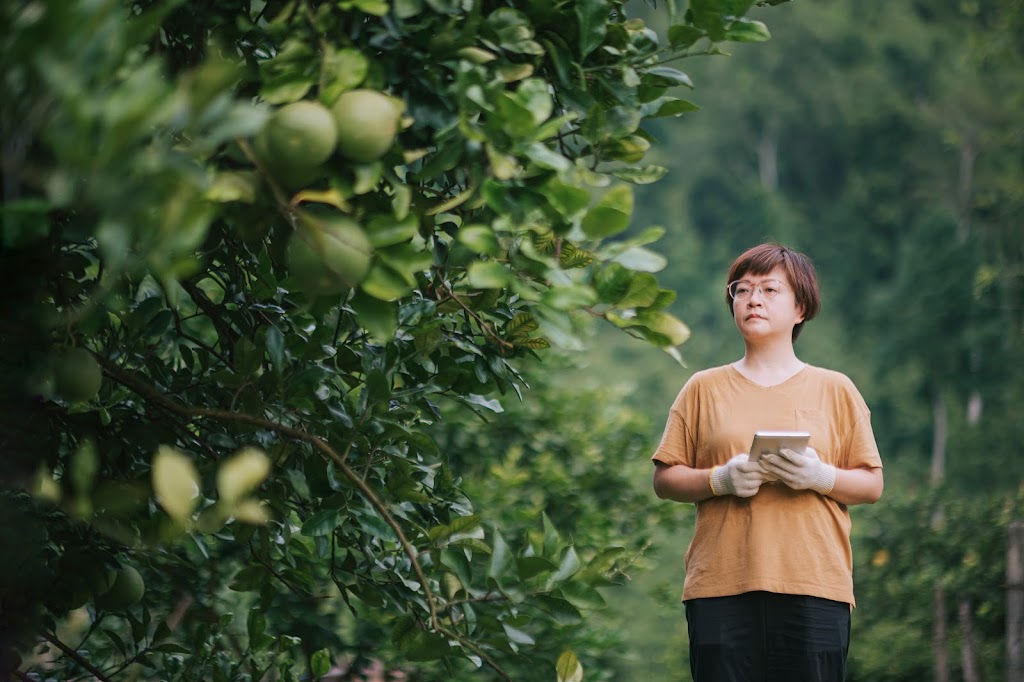 El Pomelo | 36-48 Heinemann Rd, Redland Bay QLD 4165, Australia | Phone: 0455 974 602