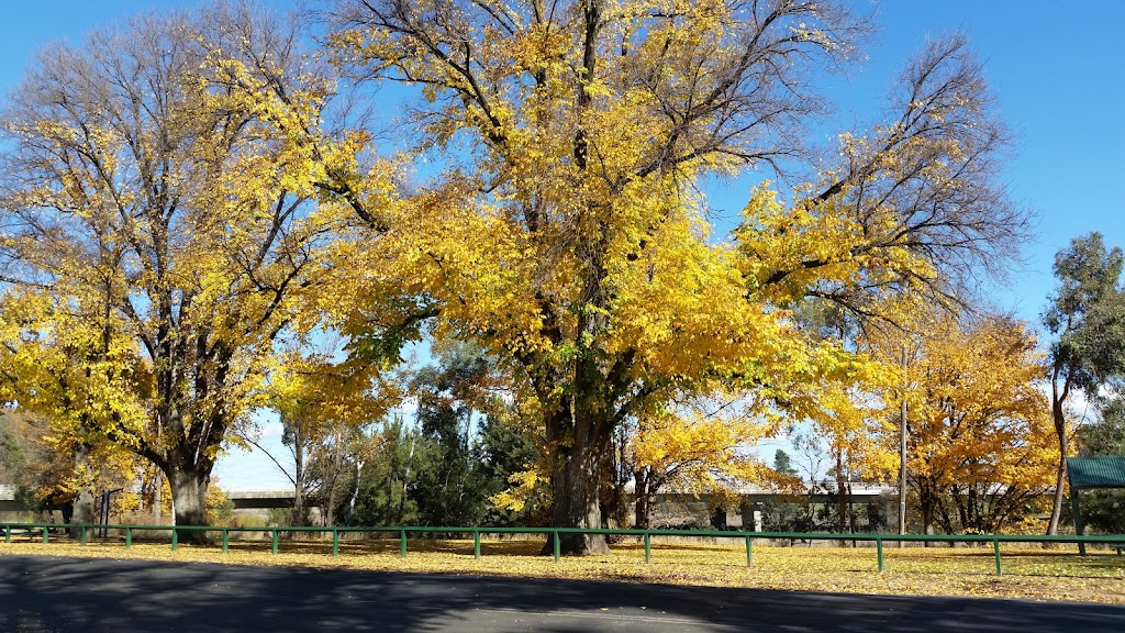Bathurst Community Opp-Shop | 8 Lions Club Dr, Kelso NSW 2795, Australia | Phone: (02) 6332 1799