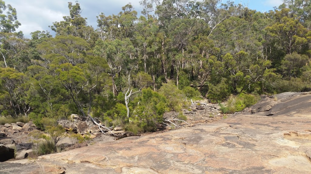 Fernhook Falls DPaW campsite | campground | 34°4905. 116°3538.9"E, National Route 1, North Walpole WA 6398, Australia