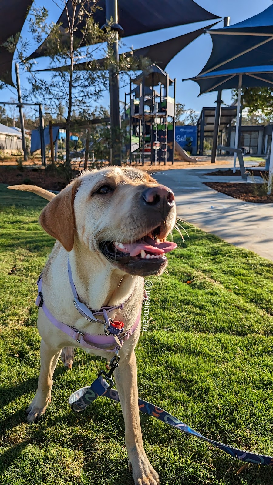 Goodwill Park | 32 Grafton St, Spring Mountain QLD 4300, Australia | Phone: 1800 223 050