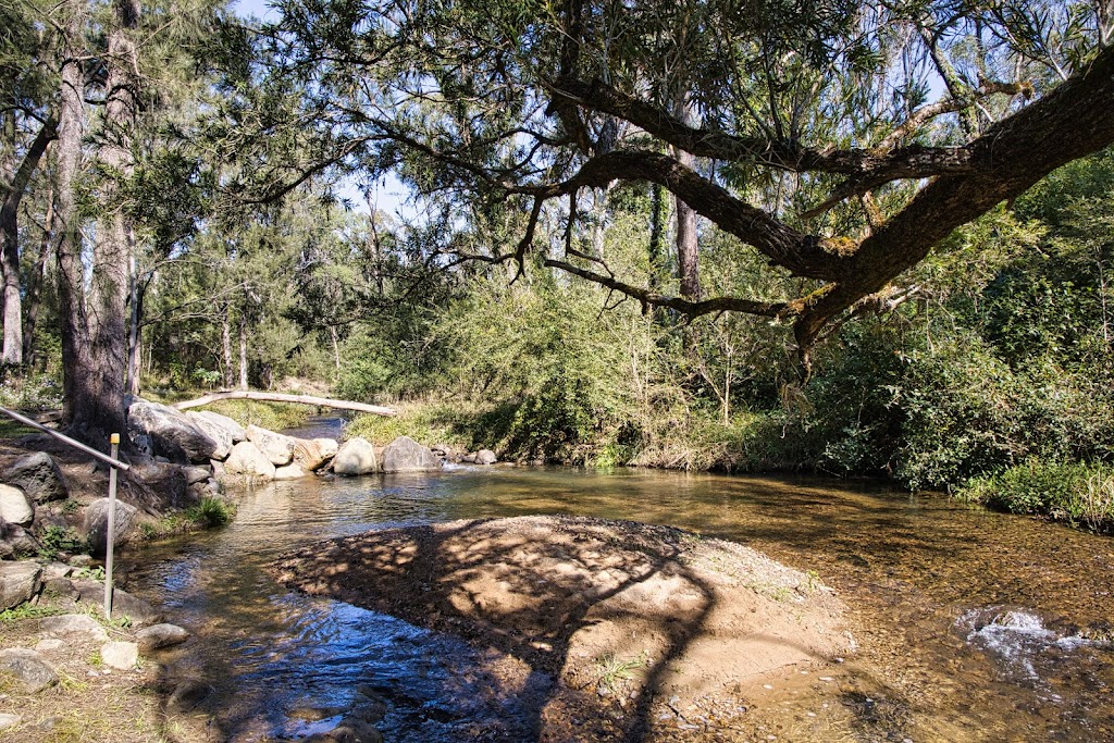 Wagtails | 3520 Armidale Rd, Nymboida NSW 2460, Australia | Phone: (02) 6649 4155